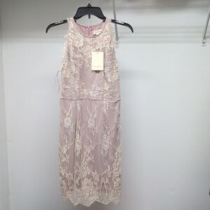 Southern fried chics dress